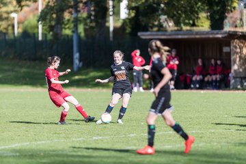 Bild 230 - F RS Kiel 2 - SV Henstedt Ulzburg 2 : Ergebnis: 1:3